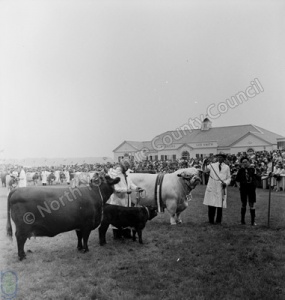 Great Yorkshire Show, 1958